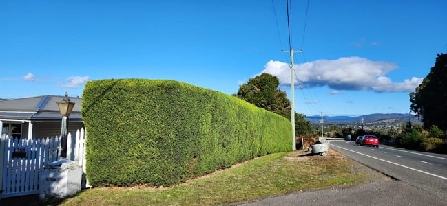 gallery grid image
